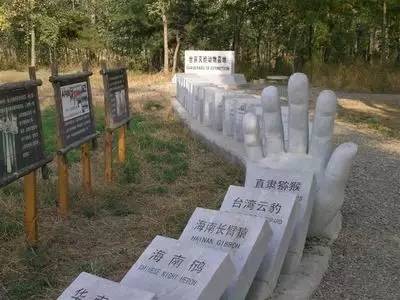 北京麋鹿苑的世界灭绝动物墓地