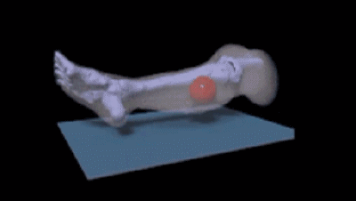 酷炫动图:医学篇(1)