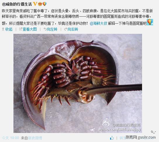 圆尾鲎图片