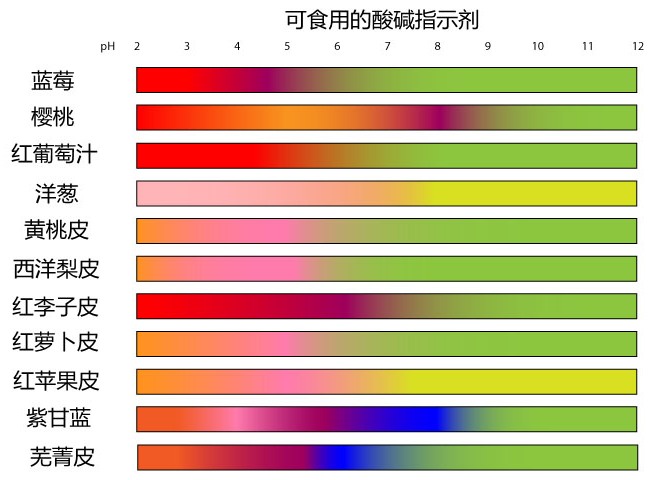 常见的富含花青素的果蔬部位榨汁后可做酸碱指示剂.