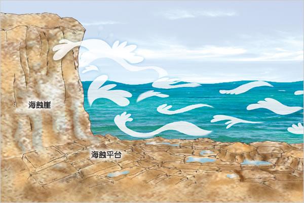 对于基岩海岸——我们不管他为什么是基岩海岸,反正就是海浪直接打在