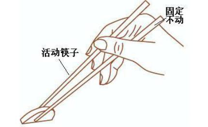 所谓的杠杆原理应该是指外侧的那根活动筷子,以大拇指和食指的夹点为