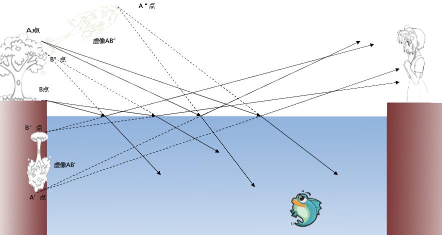 水中鱼儿看到的是树叶反射的光线经水面 折射过后形成的虚像,这个