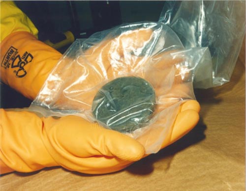http://www.guokr.com/gkimage/xa/n0/62/xan062.png