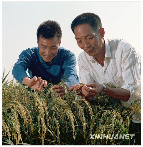 1976 年，袁隆平（右）与同事李必湖在观察杂交水稻生长情况（图片：新华社）